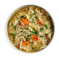 Kids Chicken Noodle 